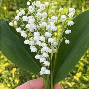 Meet your Posher, Marina